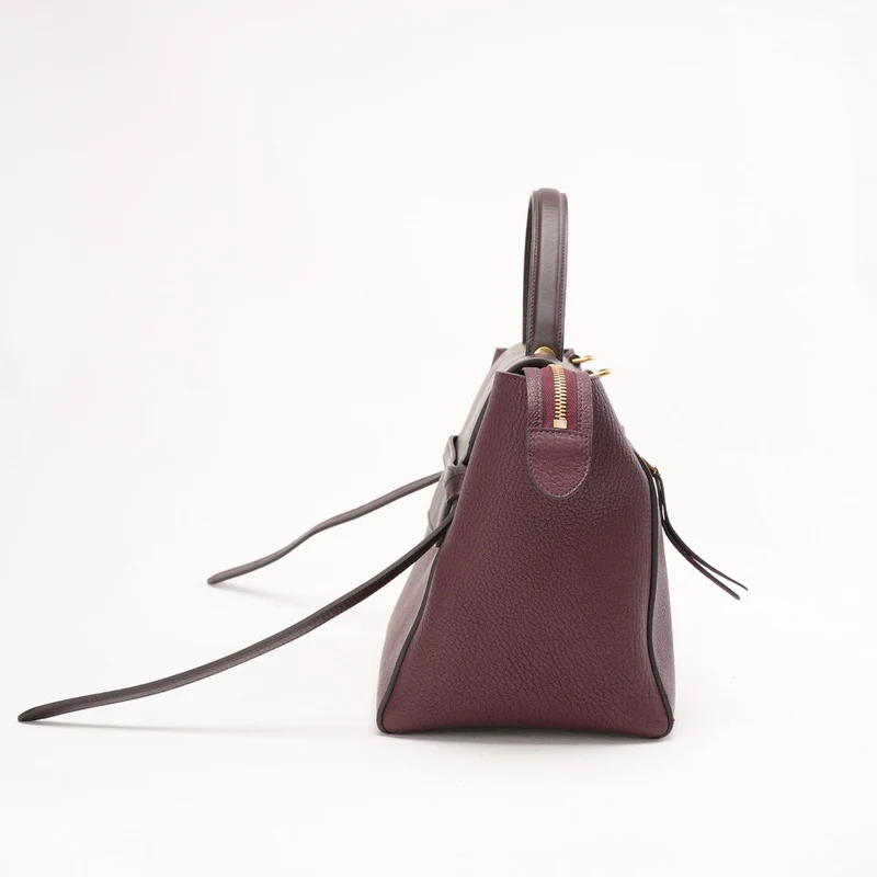 Celine Bi-Color Mini Belt Bag in Burgundy and Dark Brown Flap 2019