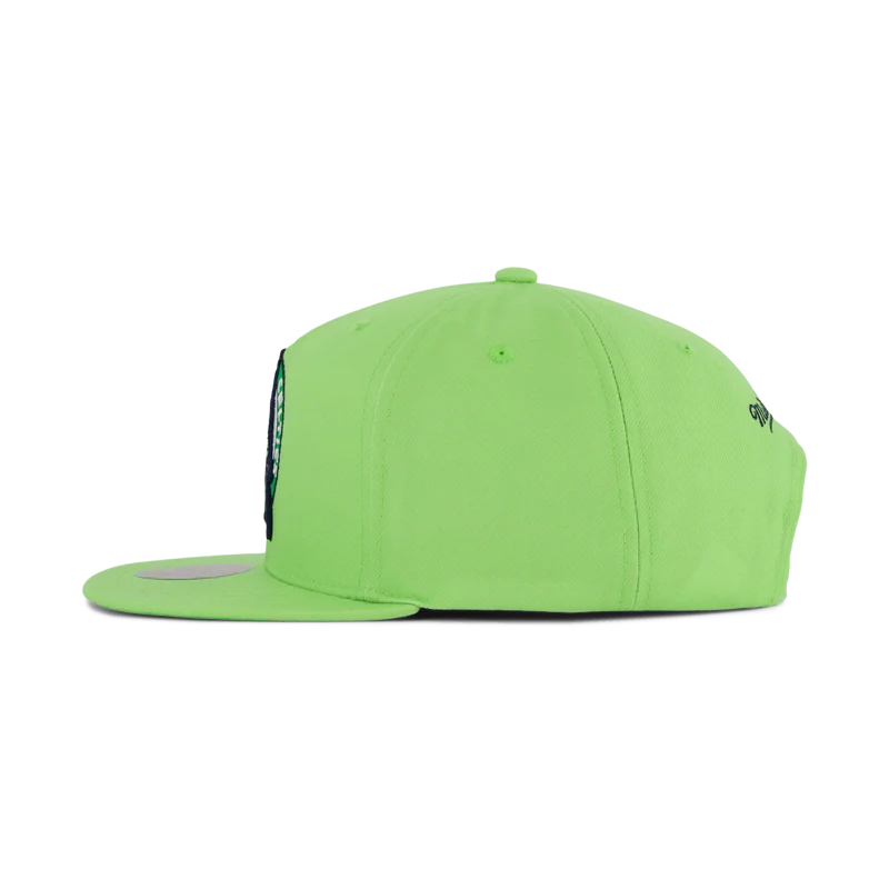 So Fresh Snapback Green