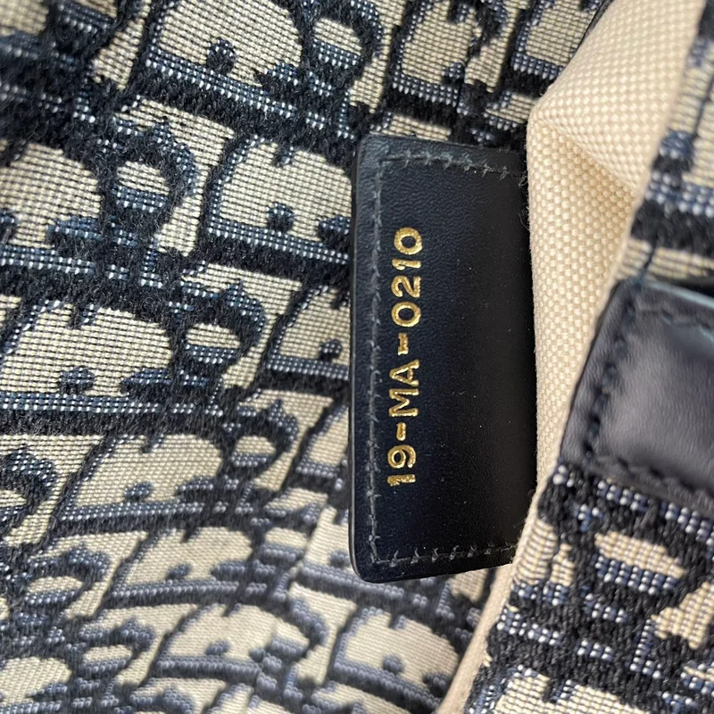 Dior Saddle Medium Canvas Blau/Weiß 2020