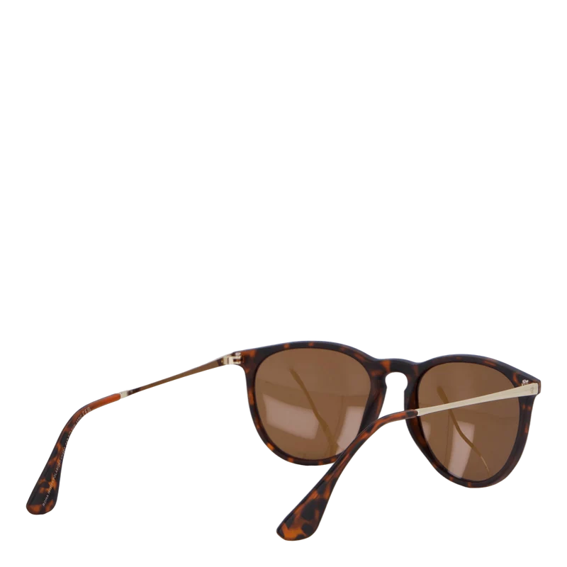 Roma Turtle Brown / Brown
