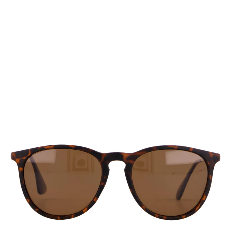Roma Turtle Brown / Brown