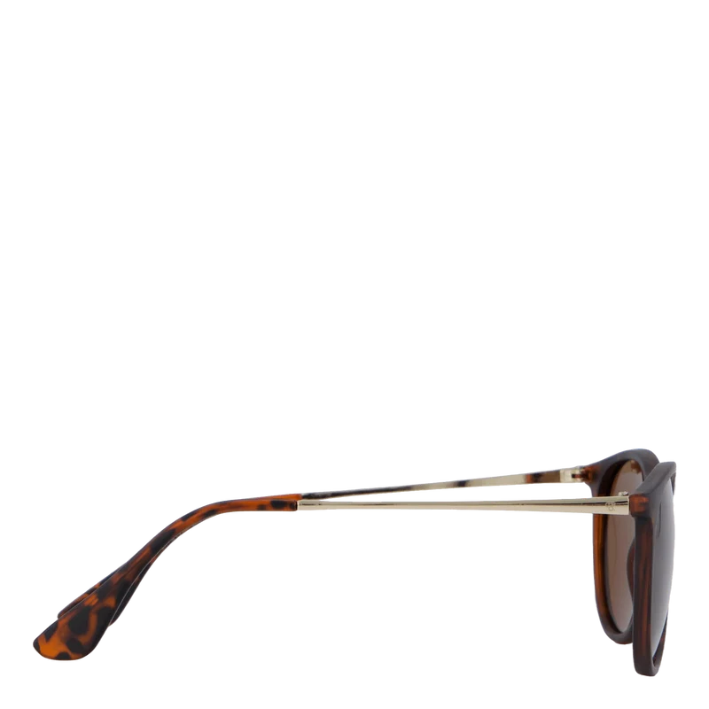 Roma Turtle Brown / Brown