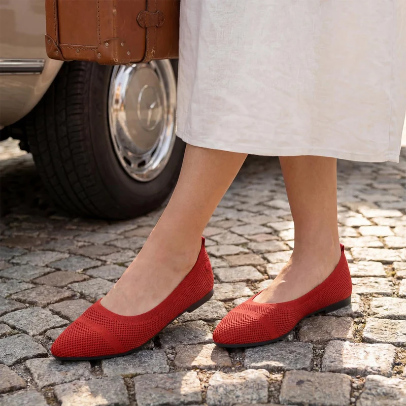 Eco Ballerinas Pointy 2.0