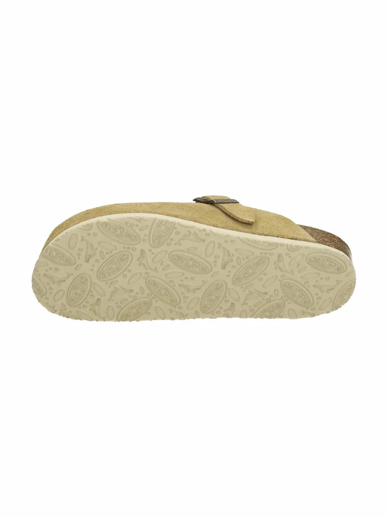 Blogg 181539 Afelpado mushroom