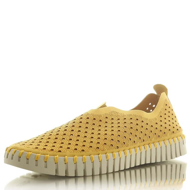 Flats Tulip golden rod dunkel