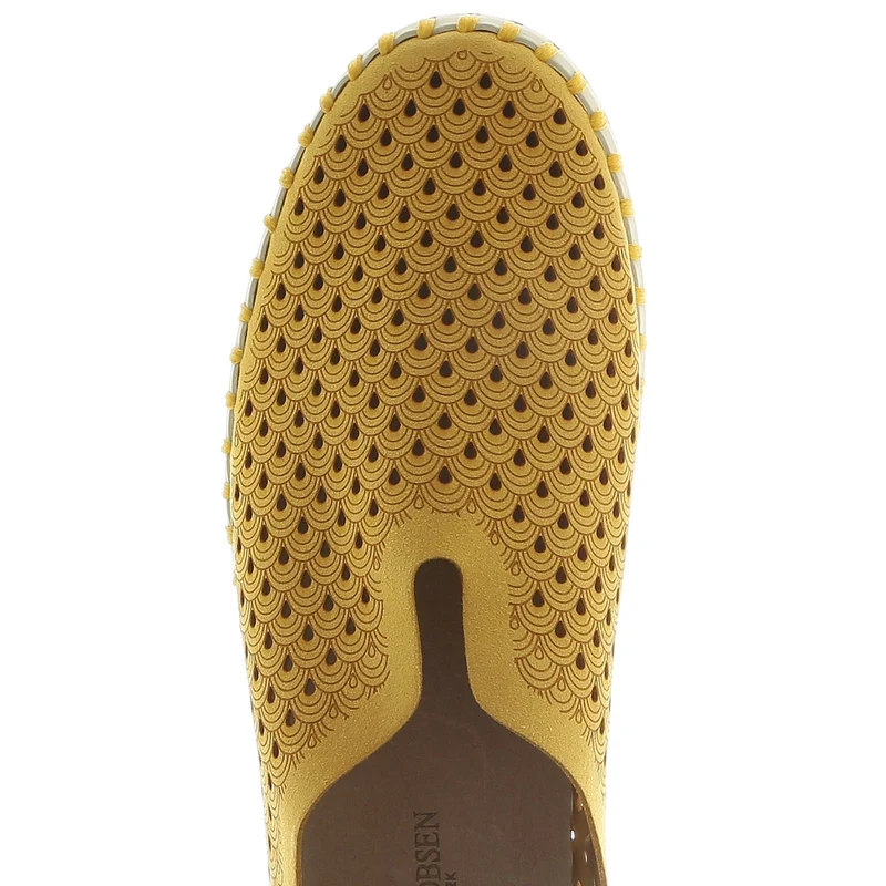 Flats Tulip golden rod dunkel