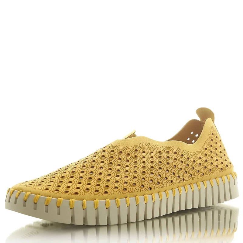 Flats Tulip golden rod dunkel