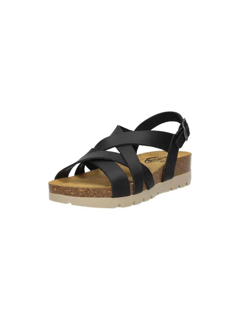 Compas 355888 Apure negro