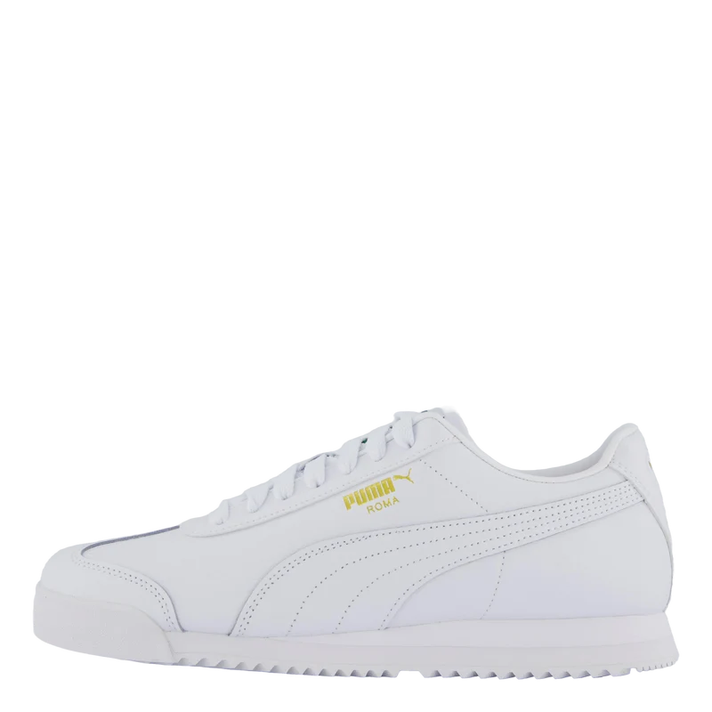 Roma 24 Standard White
