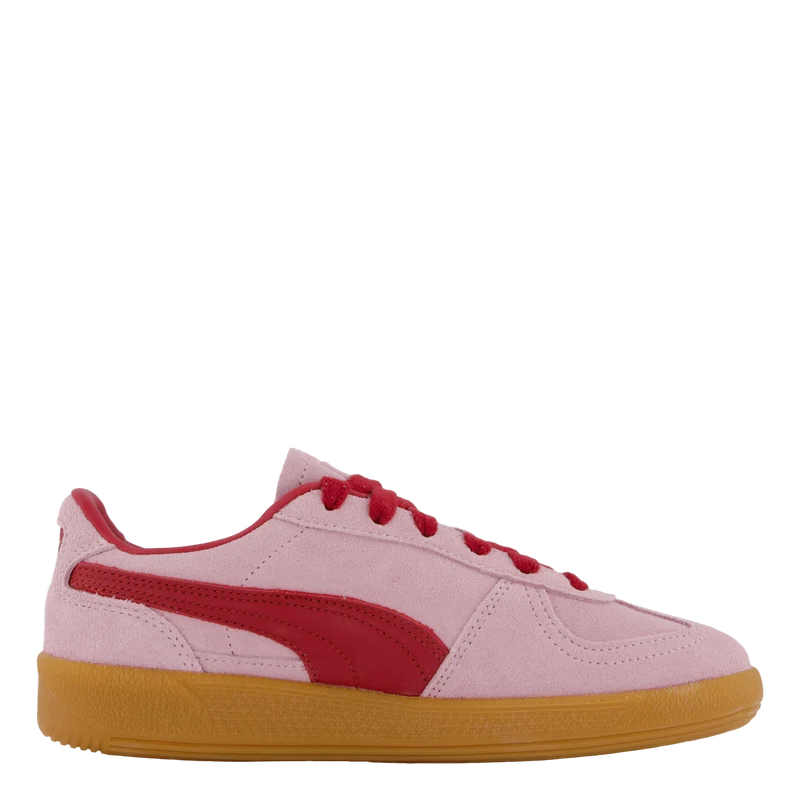 Palermo Rose Mauve-dark Crimson