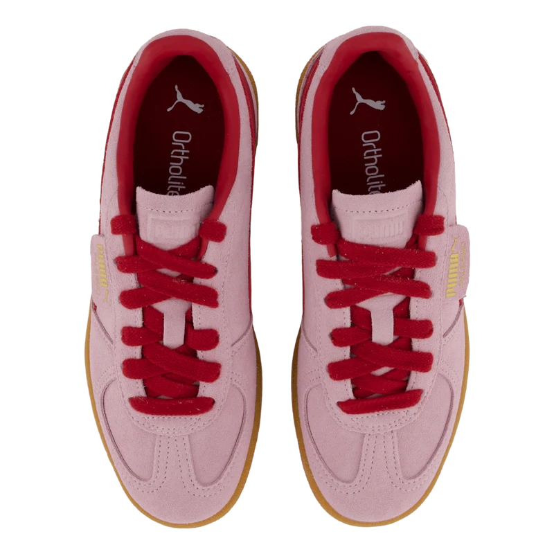 Palermo Rose Mauve-dark Crimson