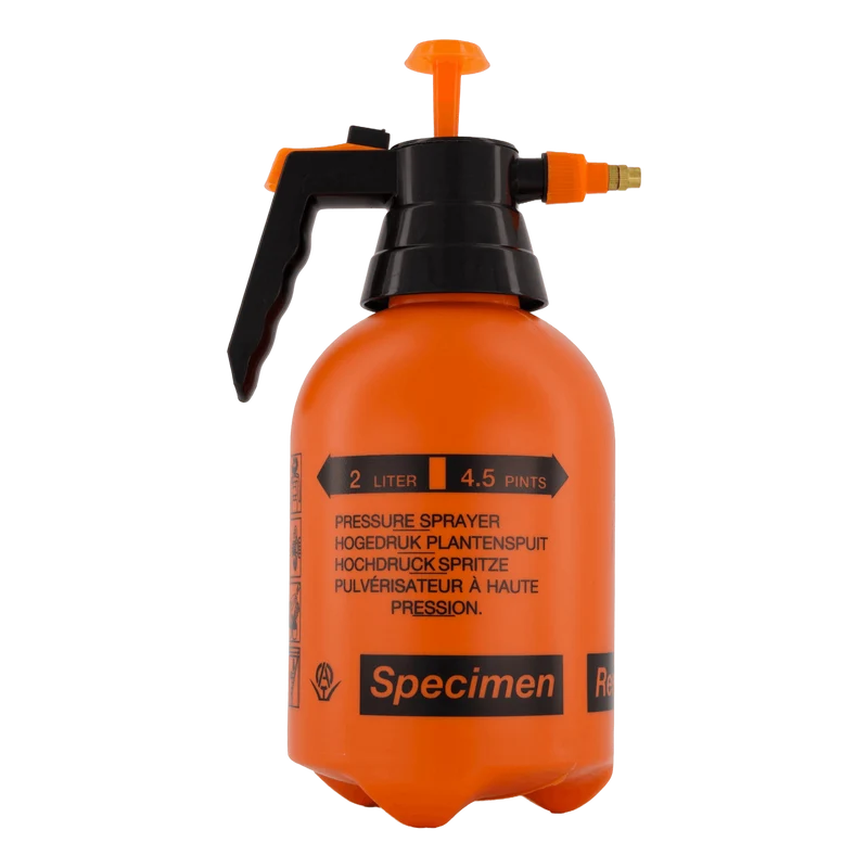 Srl . Sprinkle Spray Orange
