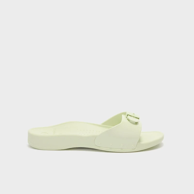SCHOLL SUN