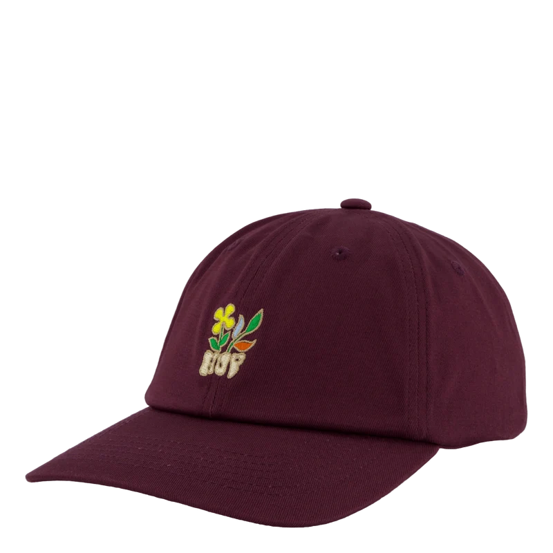 Bloom Cv 6 Panel Hat Raisin