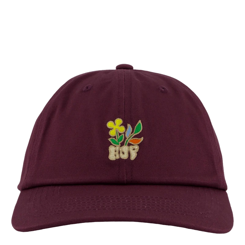 Bloom Cv 6 Panel Hat Raisin