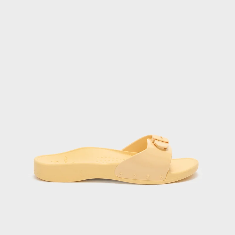 SCHOLL SUN