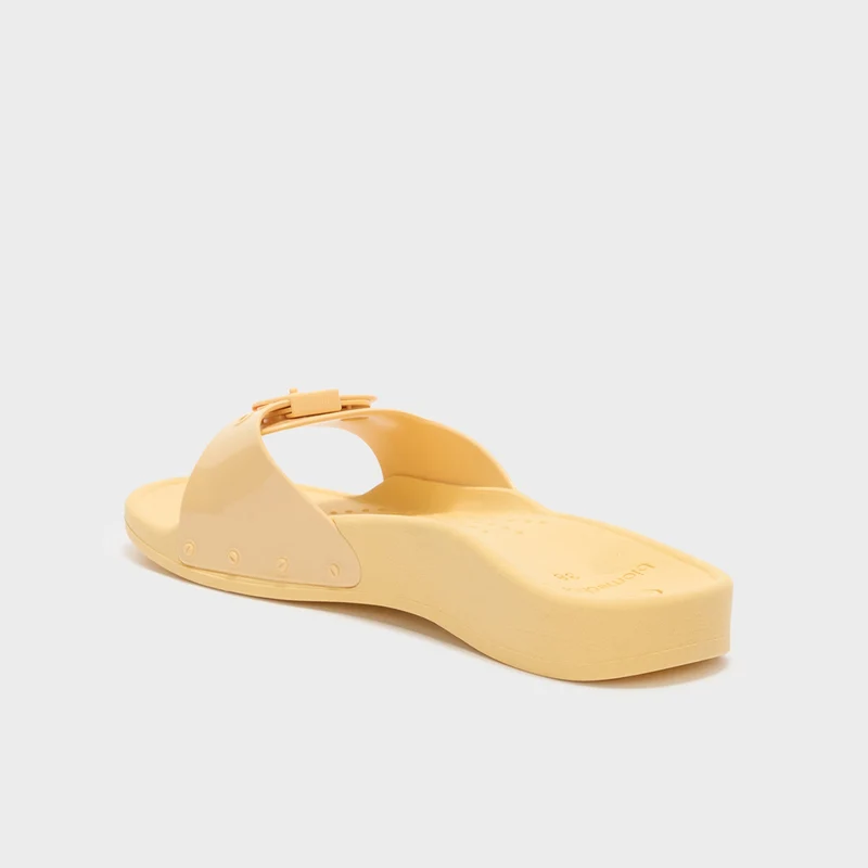 SCHOLL SUN