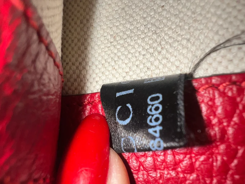 Gucci – Dionysus – Klein – Rot