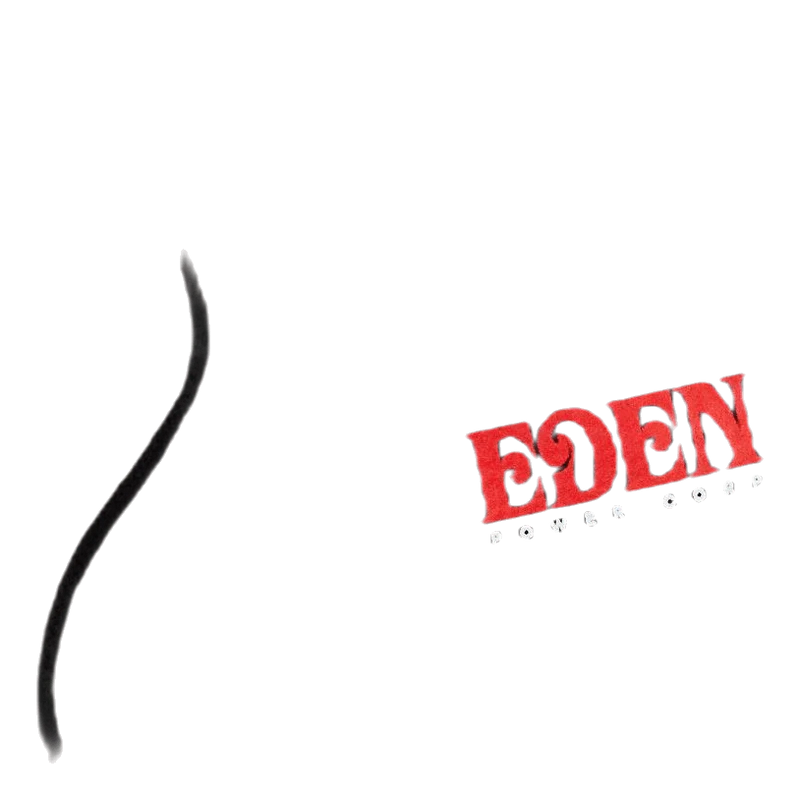 Eden Recycled Hoodie Black