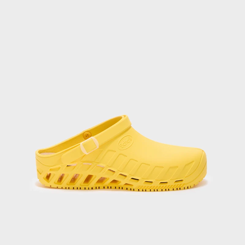 CLOG EVO