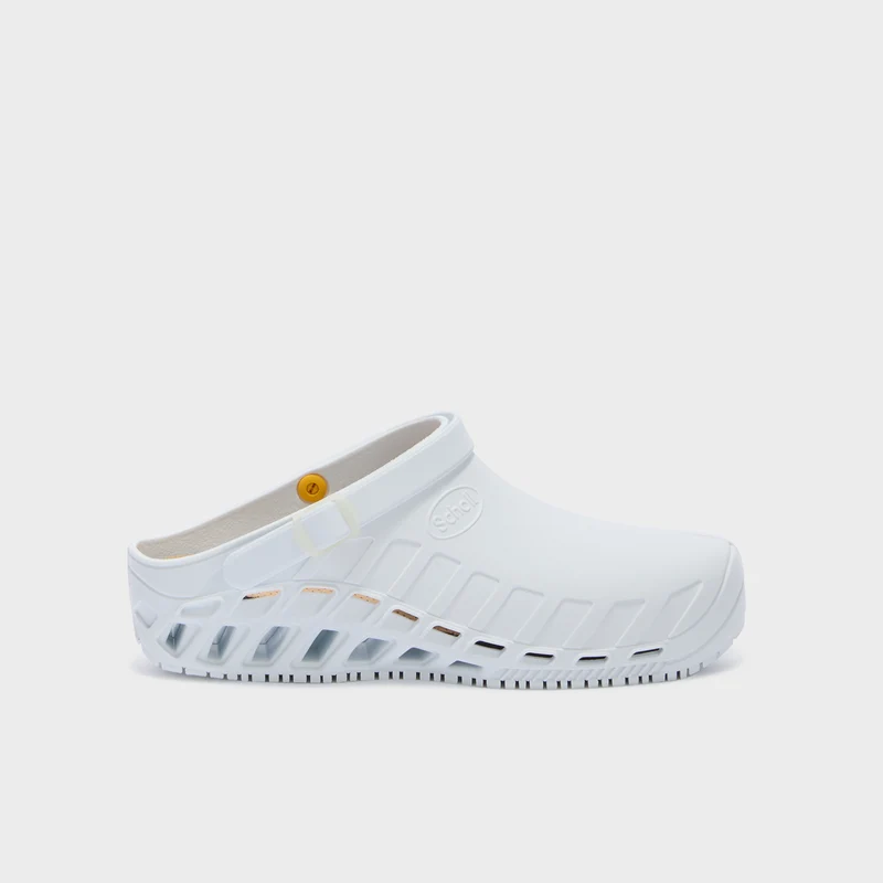 Clog Evo