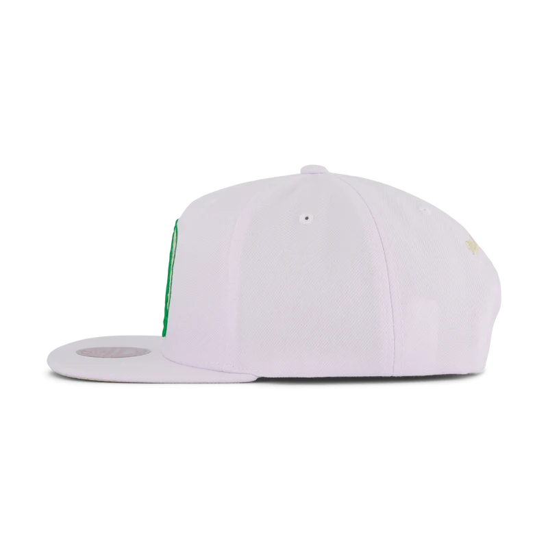 Celtics Winter Snapback