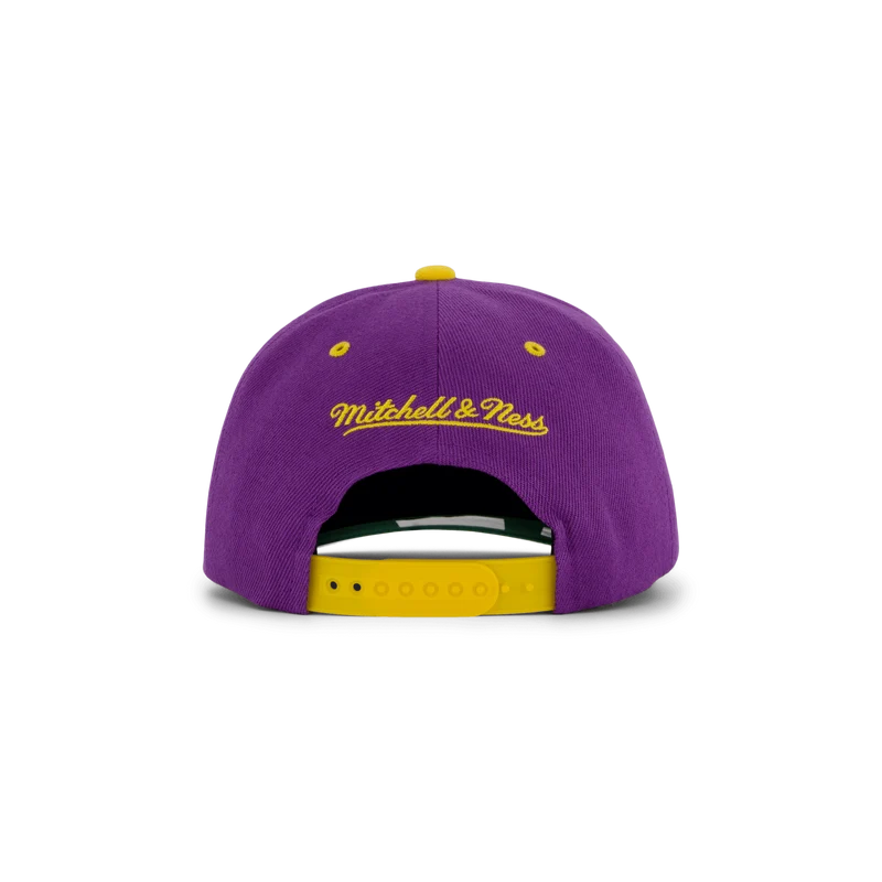 LSU GPA Snapback