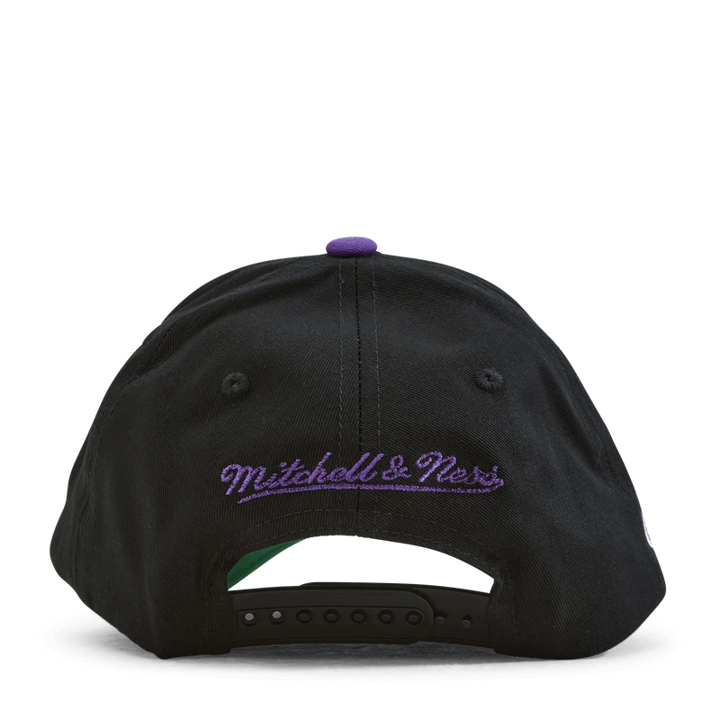 Raptors Highlight Real Carter Snapback