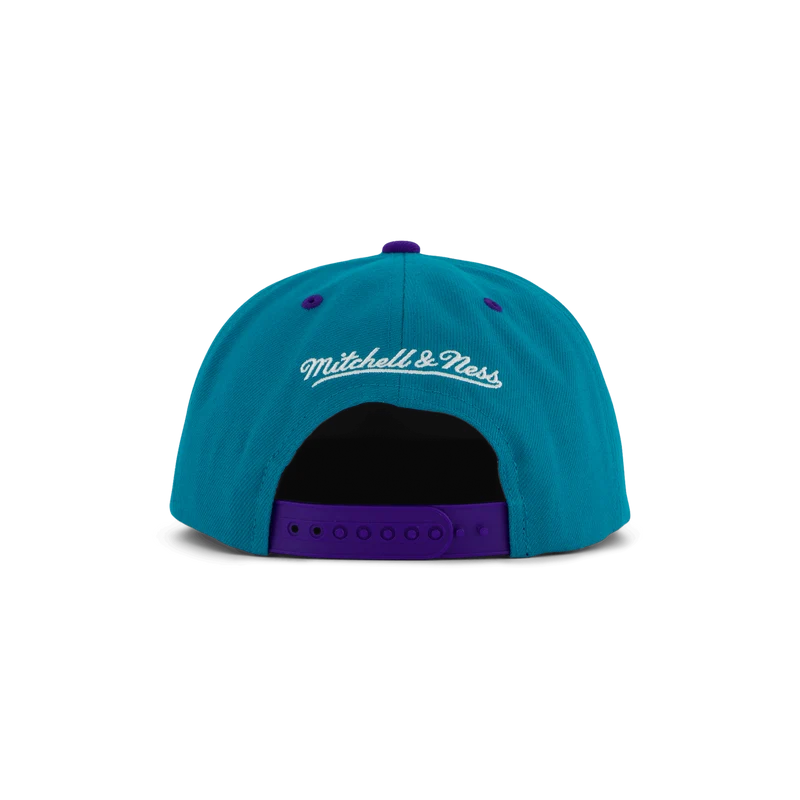 Hornets Transcript Snapback