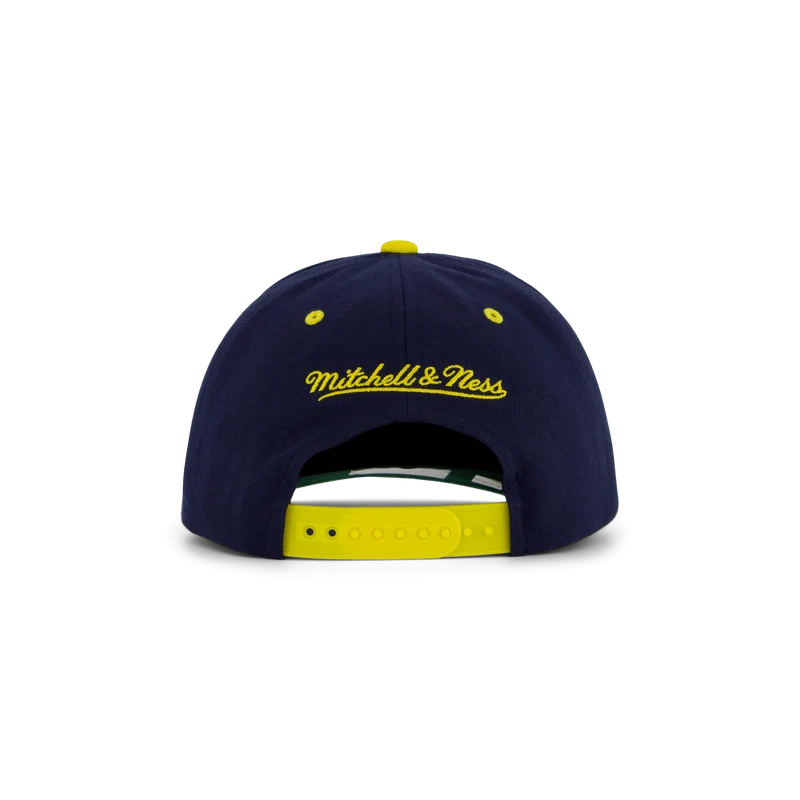 Wolwerines GPA Snapback