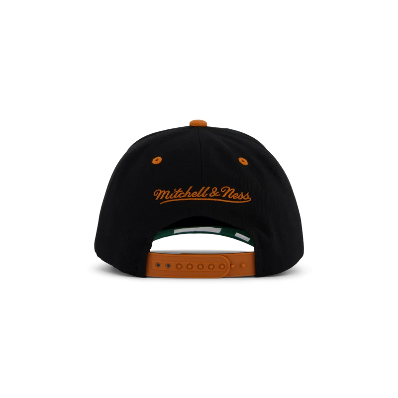 Longhorns GPA Snapback