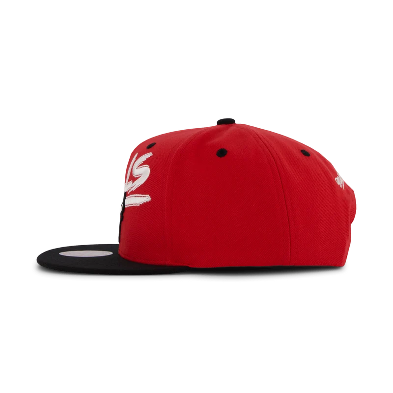 Bulls Transcript Snapback