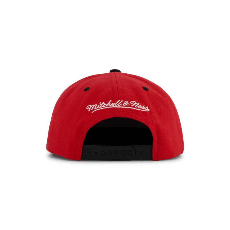 Bulls Transcript Snapback