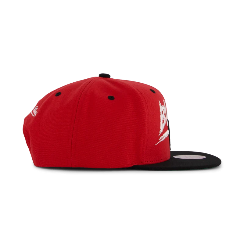 Bulls Transcript Snapback
