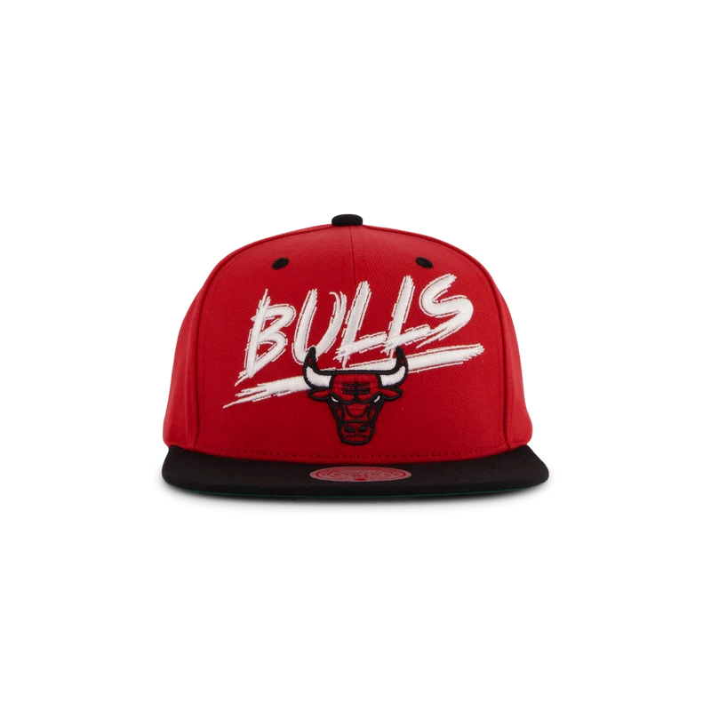Bulls Transcript Snapback