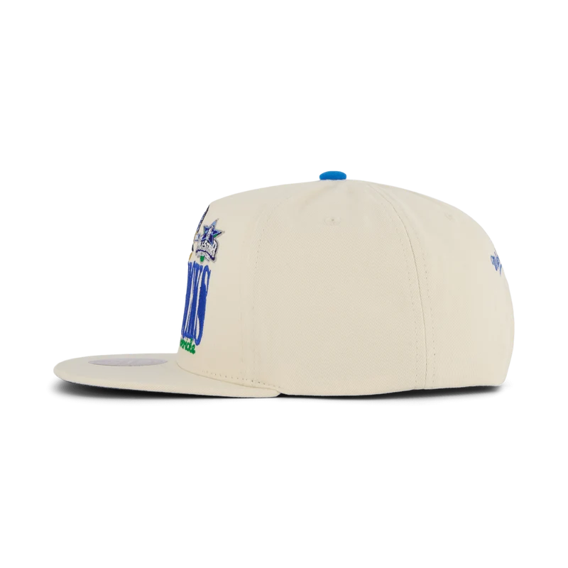 Mavericks Reframe Retro Snapback HWC
