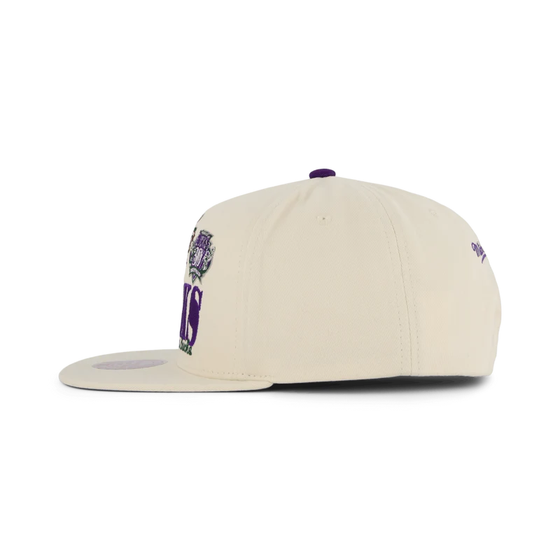 Bucks Reframe Retro Snapback HWC