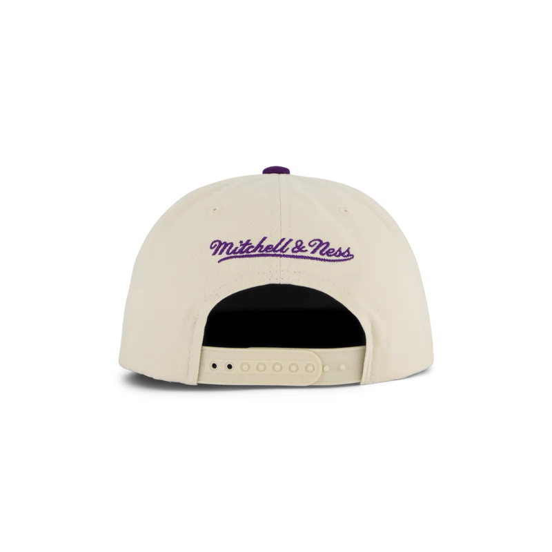 Bucks Reframe Retro Snapback HWC