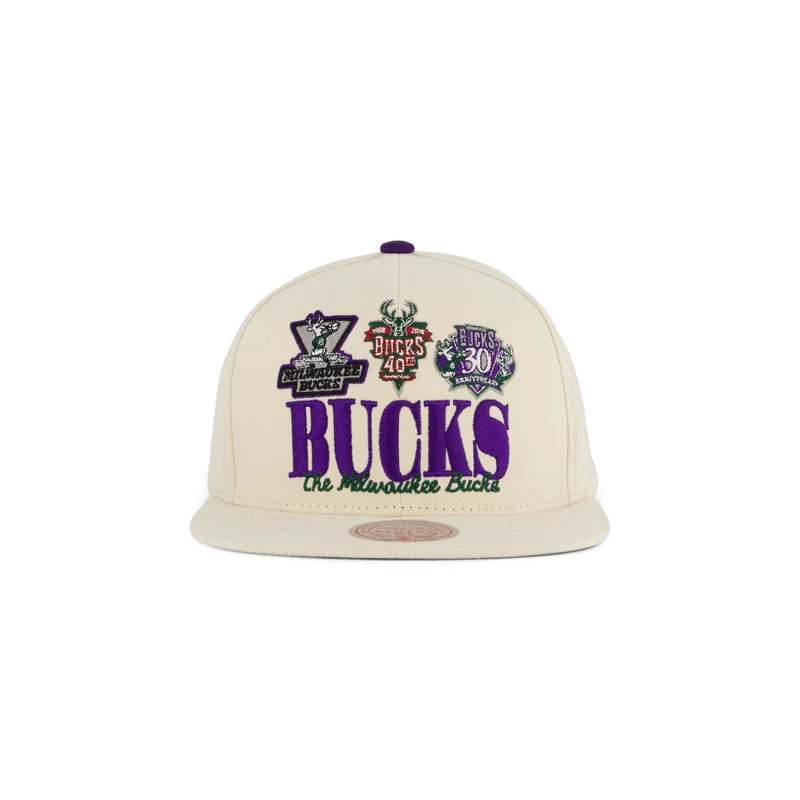 Bucks Reframe Retro Snapback HWC