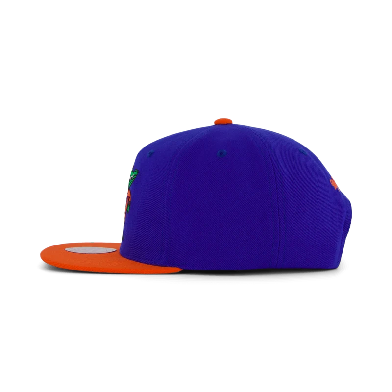 Gators Team 2 Tone 2.0 Snapback