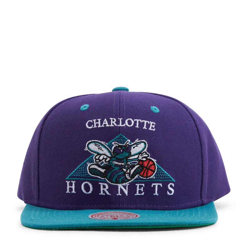 Hornets Monument Snapback HWC