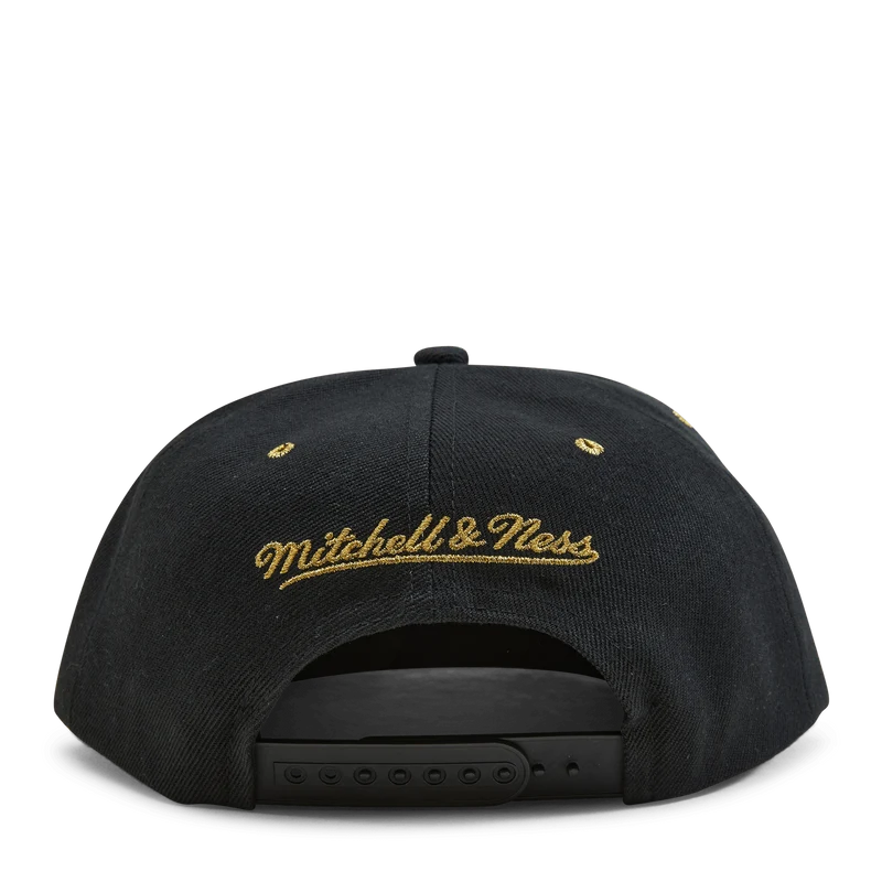 Raptors Fools Gold Snapback