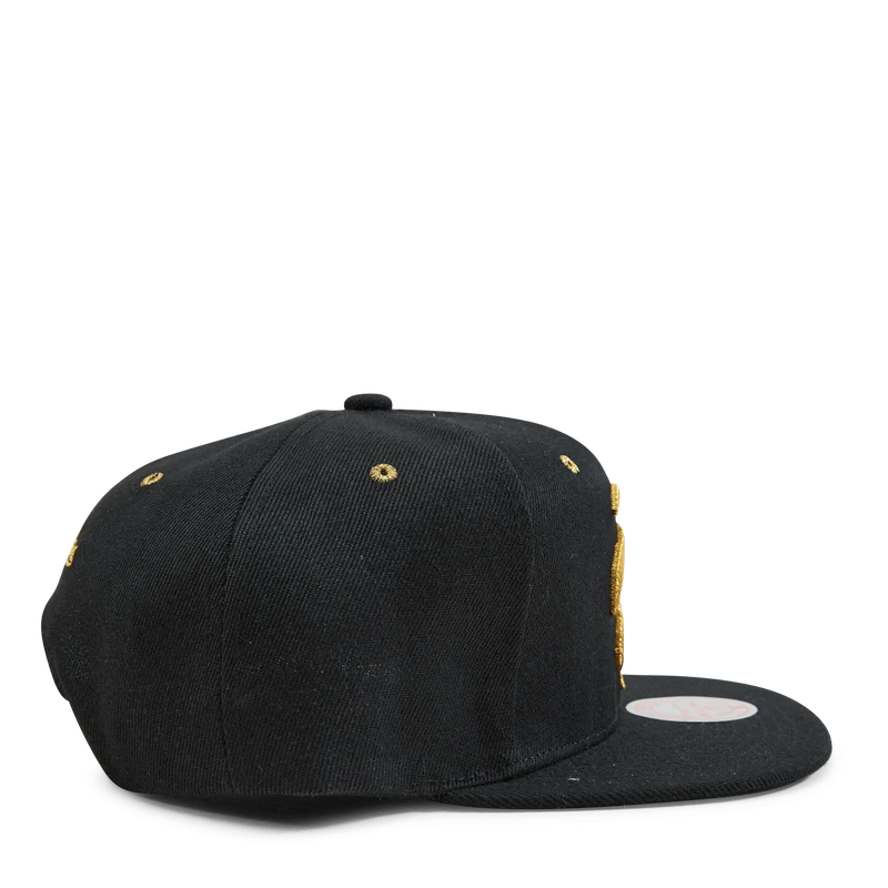 Raptors Fools Gold Snapback