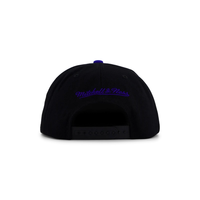 Gators Team Script 2.0 Snapback