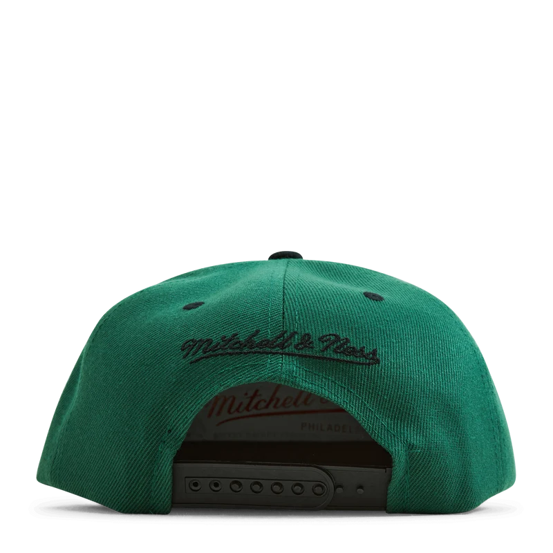 Celtics Monument Snapback