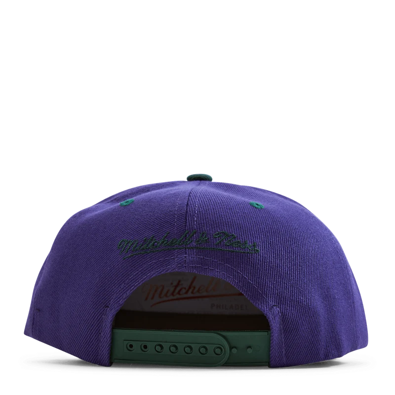 Bucks Monument Snapback HWC