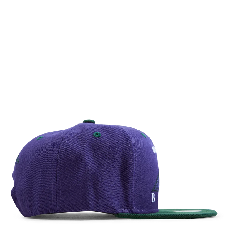 Bucks Monument Snapback HWC