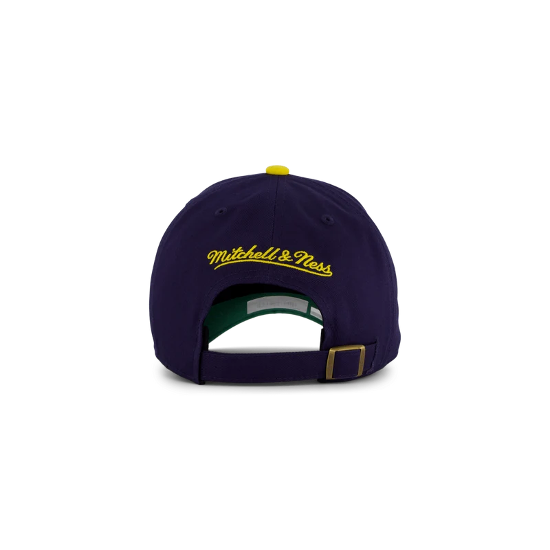 Wolwerines Team 2 Tone 2.0 Dad Strapback