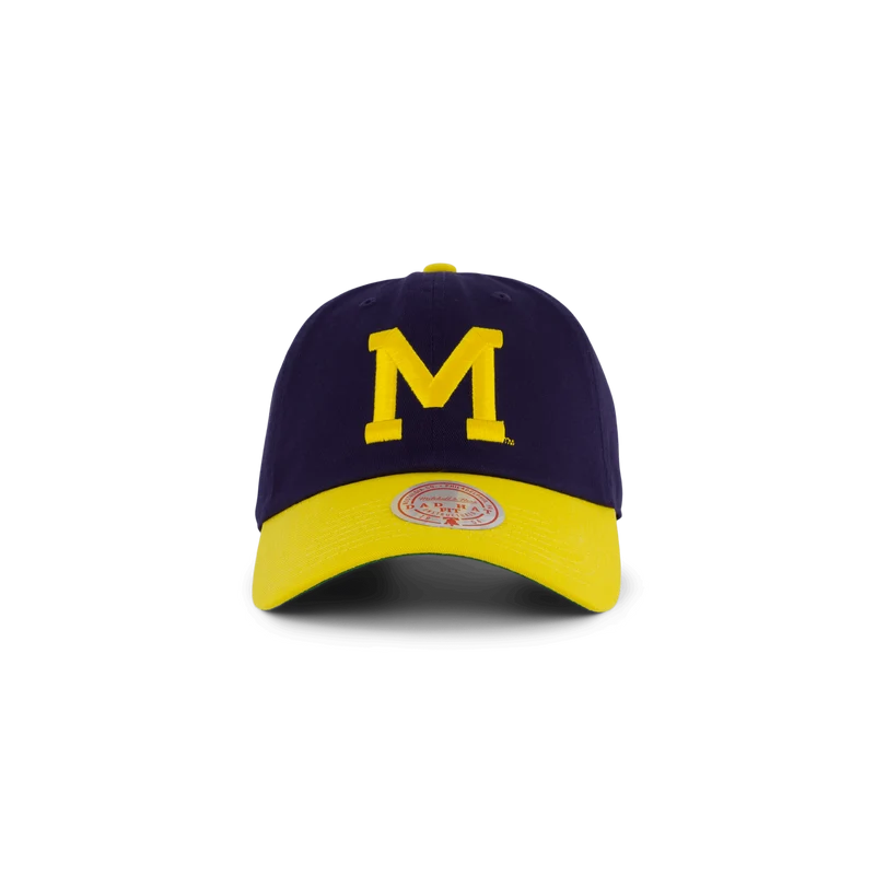 Wolwerines Team 2 Tone 2.0 Dad Strapback