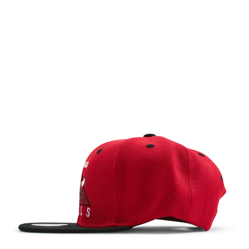 Bulls Monument Snapback